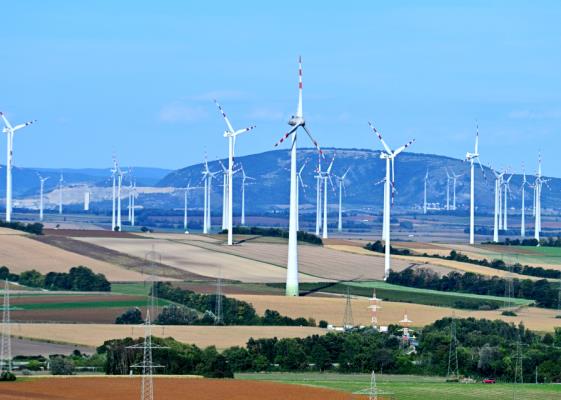 Bild: Zehetner kündigt EU-Initiative für niedrigere Strompreise an