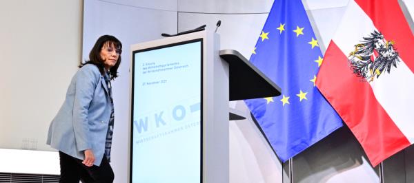 Bild: Nach Mahrer: Schultz vor Wahl zur ÖVP-Wirtschaftsbund-Chefin