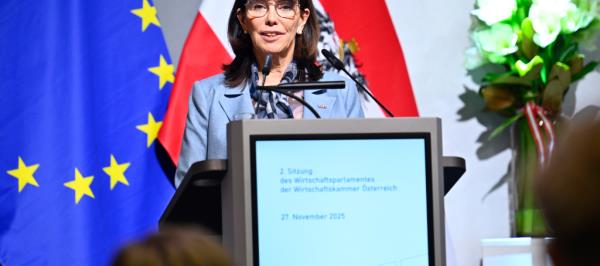 Bild: Reformarbeit in der Wirtschaftskammer startet