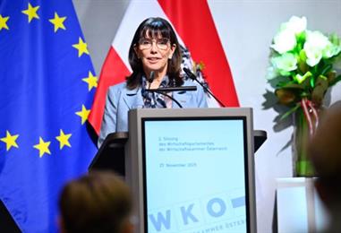 Bild: Reformarbeit in der Wirtschaftskammer startet