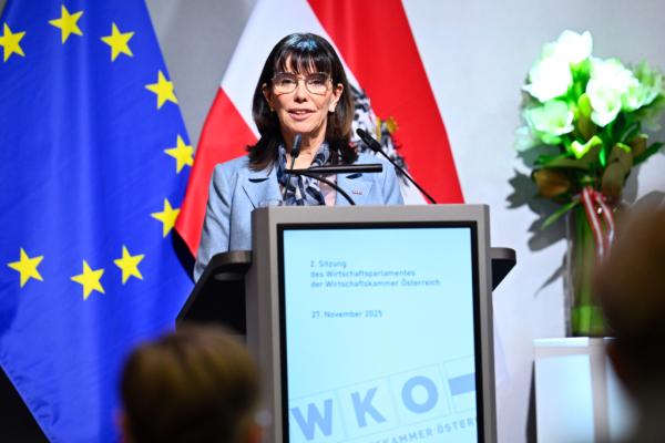 Bild: Reformarbeit in der Wirtschaftskammer startet