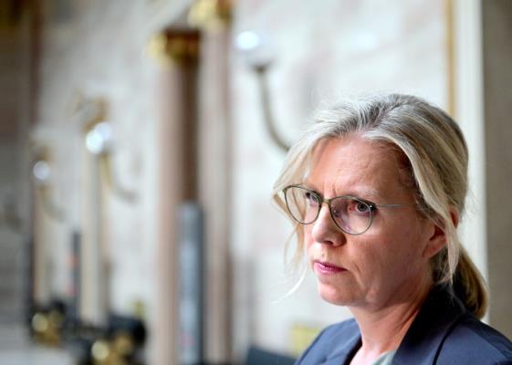 Bild: Grüne ebnen Weg für Beschluss der Spritpreisbremse