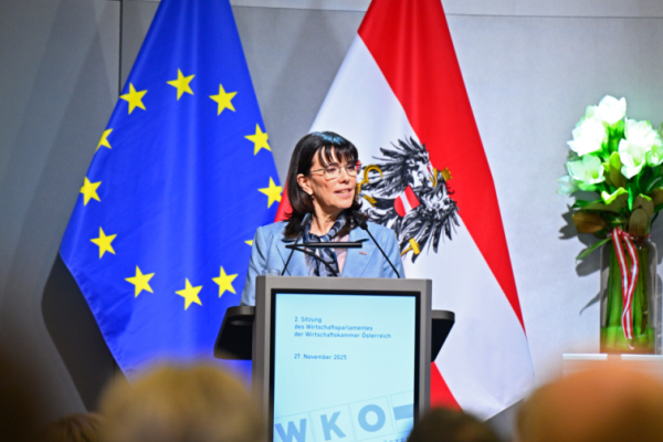 Bild: WKÖ-Schultz fordert EU-Lösungen für niedrigere Energiepreise