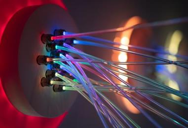 Bild: 224 internationale Unternehmen kamen 2025 nach Wien