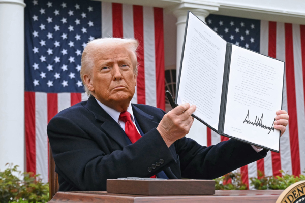 Bild: Trumps Zollversprechen gehen laut US-Expertin nicht auf