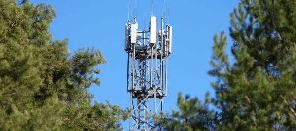 Bild: Mobilfunk-Frequenzauktion bringt 39 Mio. Euro für das Budget