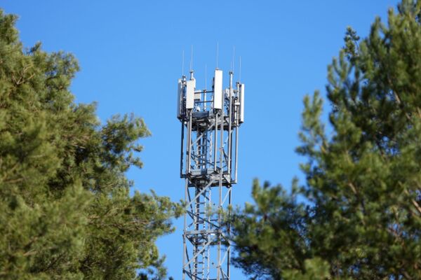 Bild: Mobilfunk-Frequenzauktion bringt 39 Mio. Euro für das Budget