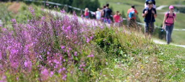 Bild: Tourismus heuer bisher mit Buchungsplus