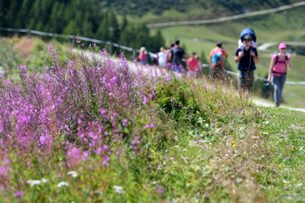 Bild: Tourismus heuer bisher mit Buchungsplus