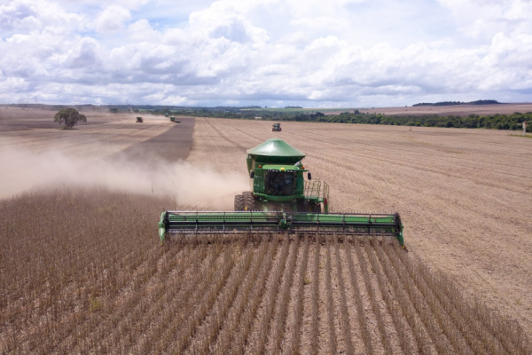 Bild: FAO/OECD: Trotz Klimawandel bis 2035 höhere Agrarproduktion