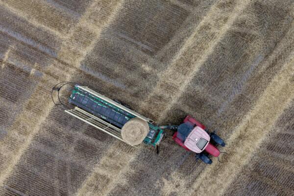 Bild: Landwirtschaftskammern richten Forderungspaket an die EU