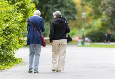Bild: Regierung zu Reform der privaten Altersvorsorge uneins