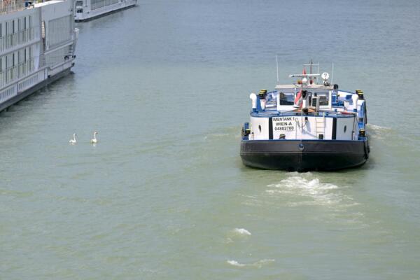 Bild: Niedrigwasser bringt Einschränkungen für Schifffahrt
