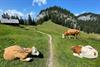 Bild: 