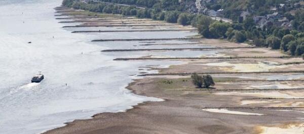 Bild: Industrie drosselt wegen Rhein-Niedrigwasser Produktion
