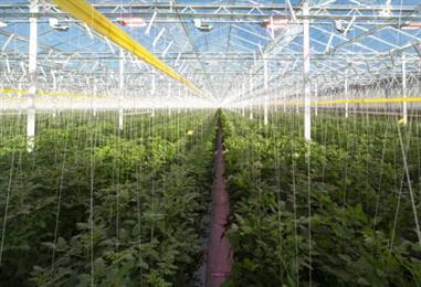 Bild: CO2-Abscheidung und -Speicherung in Österreich konkreter
