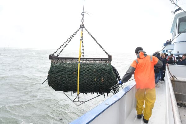 Bild: EU-Votum: Islands Wirtschaft ringt um Euro, Zinsen und Fisch