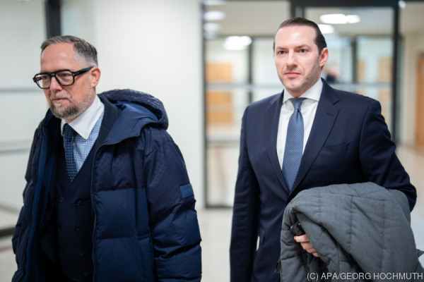 Bild: Hallmann sagte im Wienwert-Prozess zu Immobiliendeal aus