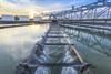 Bild: Abwasser ist nicht gleich Abwasser