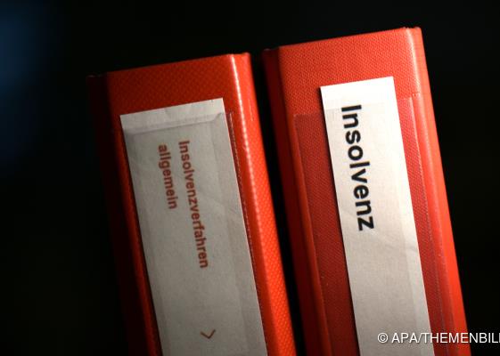 Bild: Firmenpleiten leicht rückläufig, Privatkonkurse gestiegen